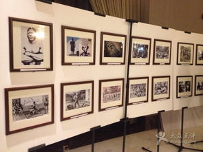 泽文阁图文设计中心 专业视觉呈现，打造品牌新高度